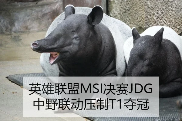 ying-xiong-lian-meng-jue-sai-zhong-ye-lian-dong-ya-zhi-duo-guan-3-937.jpg