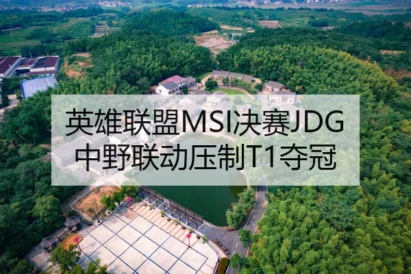 英雄联盟MSI决赛JDG中野联动压制T1夺冠